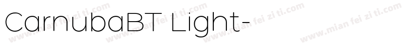 CarnubaBT Light字体转换